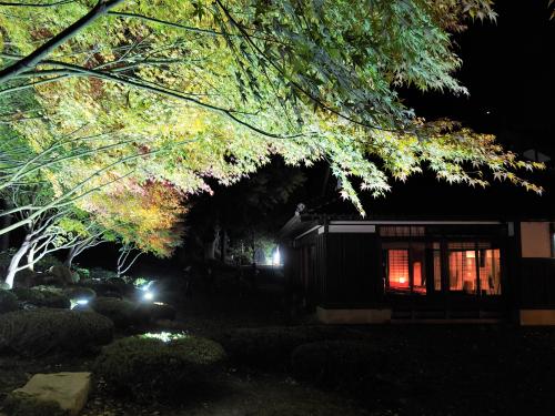 昨年のライトアップ&ナイトミュージアム(3)