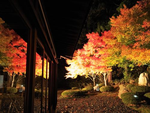 昨年のライトアップ&ナイトミュージアム(4)