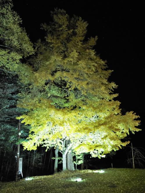 昨年のライトアップ&ナイトミュージアム(5)