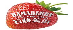 若狭美浜HAMABERRY～いちごの郷みはま～（事業PR)