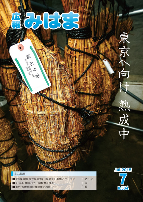 表紙(平成27年7月号)の画像