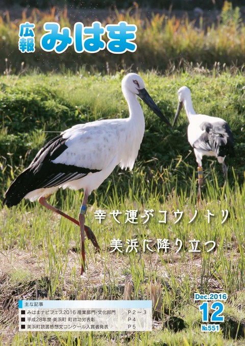 表紙(平成28年12月号)の画像