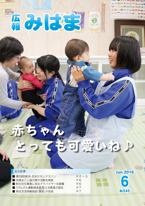 表紙(平成28年6月号)の画像