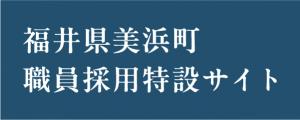 採用サイト
