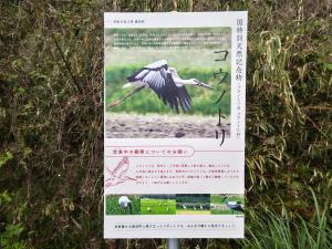 設置看板