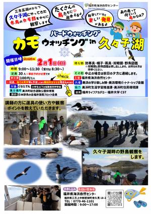 バードウォッチング