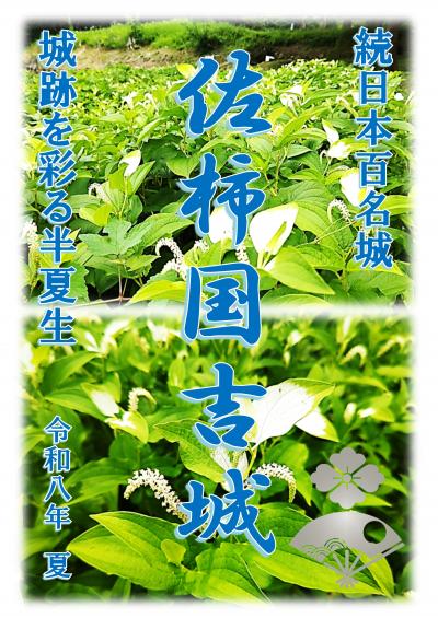 期間限定御城朱印「半夏生版」